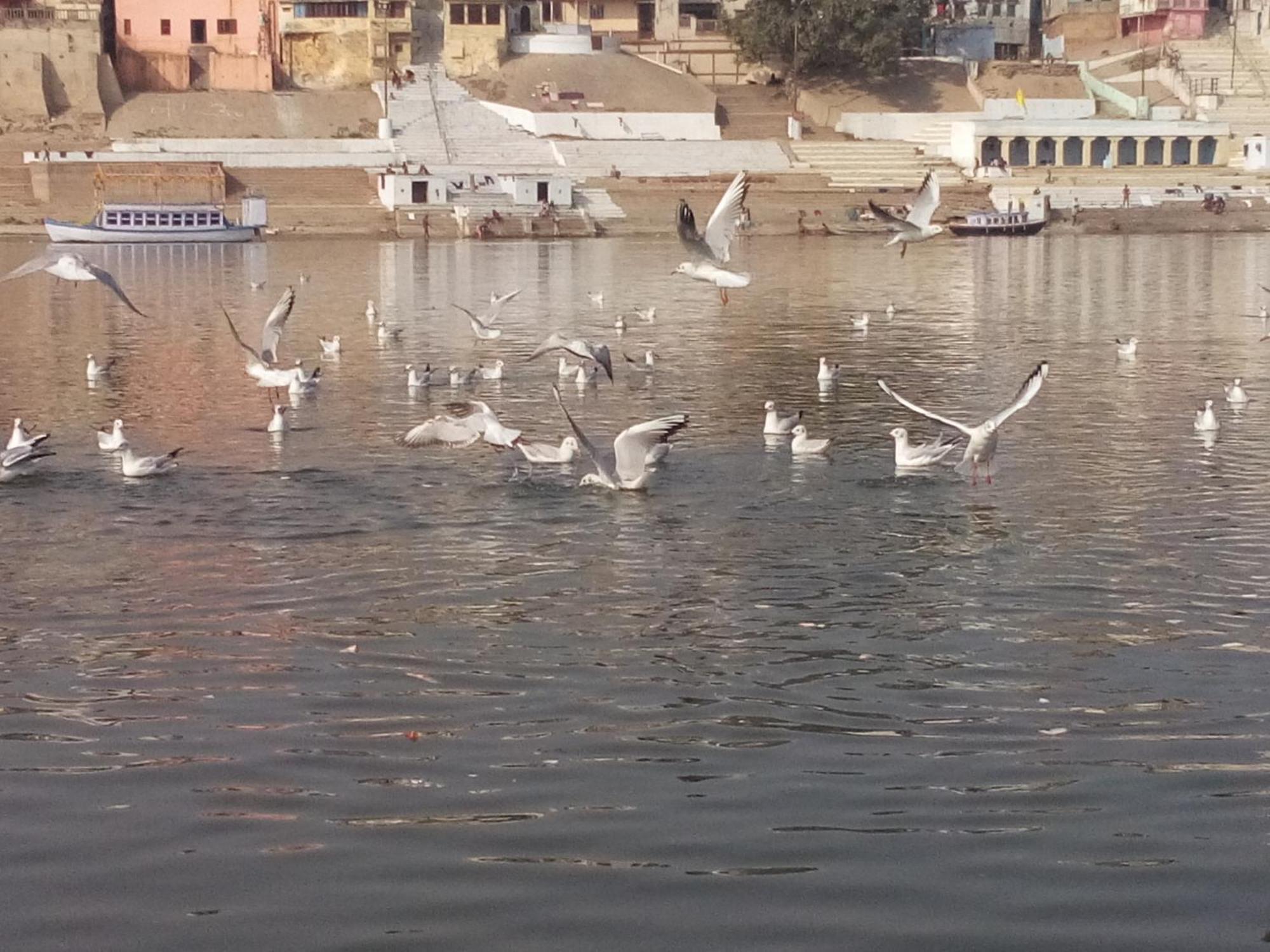 Tandon Lodge On The Ganga Ghat Homestay Варанаси Экстерьер фото